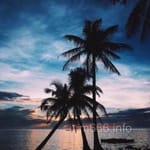 Avatar of Waqar Hussain