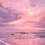 Avatar of Zahid Mirza